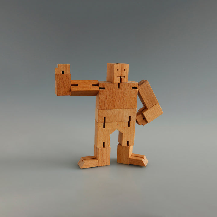 Mini Cubebot